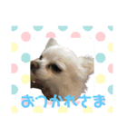 クリス、ひめ(387)（個別スタンプ：5）