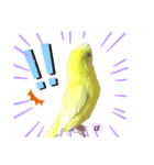 セキセイインコぴっぴとぽっぽ②（個別スタンプ：22）