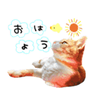 TETOーBARON（個別スタンプ：1）