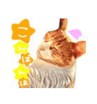TETOーBARON（個別スタンプ：3）