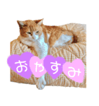 TETOーBARON（個別スタンプ：4）