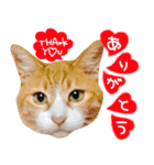 TETOーBARON（個別スタンプ：5）