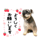 TETOーBARON（個別スタンプ：6）