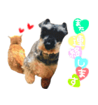 TETOーBARON（個別スタンプ：7）