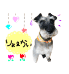 TETOーBARON（個別スタンプ：10）