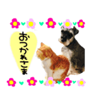 TETOーBARON（個別スタンプ：15）