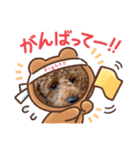 こたろう＆てんてん（個別スタンプ：3）