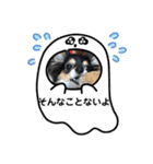 ポメチワはちみつちゃんスタンプ第5弾（個別スタンプ：7）