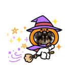 ポメチワはちみつちゃんスタンプ第5弾（個別スタンプ：21）