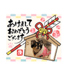 ポメチワはちみつちゃんスタンプ第5弾（個別スタンプ：35）