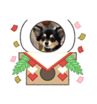 ポメチワはちみつちゃんスタンプ第5弾（個別スタンプ：38）