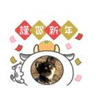 ポメチワはちみつちゃんスタンプ第5弾（個別スタンプ：39）