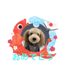 ムクりん4（個別スタンプ：2）