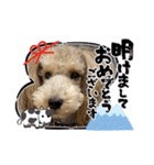 ムクりん4（個別スタンプ：3）