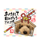 ムクりん4（個別スタンプ：4）