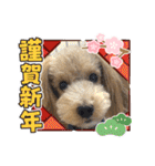 ムクりん4（個別スタンプ：5）