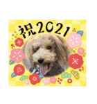 ムクりん4（個別スタンプ：10）