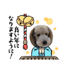 ムクりん4（個別スタンプ：11）