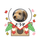 ムクりん4（個別スタンプ：12）