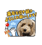 ムクりん4（個別スタンプ：13）