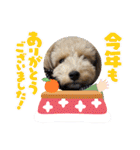 ムクりん4（個別スタンプ：14）