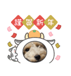 ムクりん4（個別スタンプ：17）