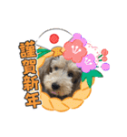 ムクりん4（個別スタンプ：18）