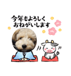 ムクりん4（個別スタンプ：20）
