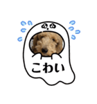 ムクりん4（個別スタンプ：40）
