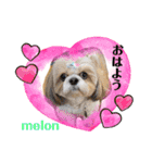 まちこ画伯ファミリー（個別スタンプ：6）