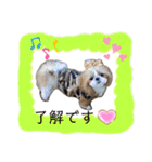 まちこ画伯ファミリー（個別スタンプ：13）