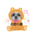 まちこ画伯ファミリー（個別スタンプ：14）