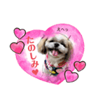 まちこ画伯ファミリー（個別スタンプ：17）