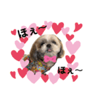 まちこ画伯ファミリー（個別スタンプ：18）