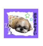 まちこ画伯ファミリー（個別スタンプ：20）
