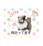 まちこ画伯ファミリー（個別スタンプ：21）