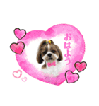 まちこ画伯ファミリー（個別スタンプ：22）