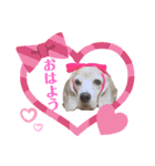 まちこ画伯ファミリー（個別スタンプ：25）