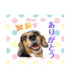 まちこ画伯ファミリー（個別スタンプ：26）