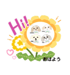 まちこ画伯ファミリー（個別スタンプ：37）