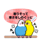 インコさんのメッセージスタンプ（個別スタンプ：7）