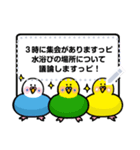 インコさんのメッセージスタンプ（個別スタンプ：11）