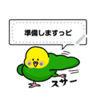 インコさんのメッセージスタンプ（個別スタンプ：13）