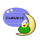 インコさんのメッセージスタンプ（個別スタンプ：15）