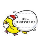 インコさんのメッセージスタンプ（個別スタンプ：17）