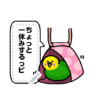 インコさんのメッセージスタンプ（個別スタンプ：21）