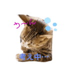 しらすといくら3♡♡（個別スタンプ：2）