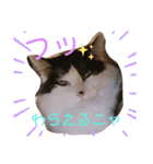 しらすといくら3♡♡（個別スタンプ：4）