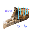 しらすといくら3♡♡（個別スタンプ：5）