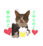 しらすといくら3♡♡（個別スタンプ：6）